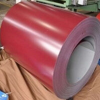 Сталь 0,5 мм листова PE  ⁇  MittalSteel (Польща) RAL 3009