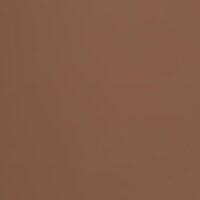 Алюмінієва композитна панель 4-04 Albond® 7000 / SOLID / RAL 8025 Pale Brown