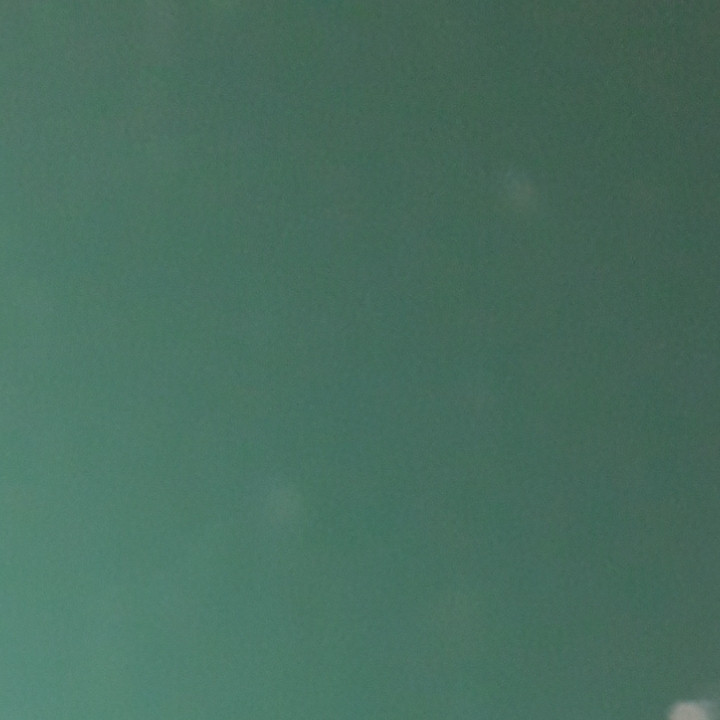 Гладкий лист 0,45 мм RAL 6005 Алюцинк із полімерним покриттям