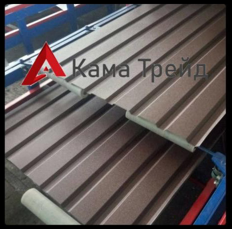 Профнастил ПС-20 "КамаТрейд" 0,45 мм Україна РЕМА Ral