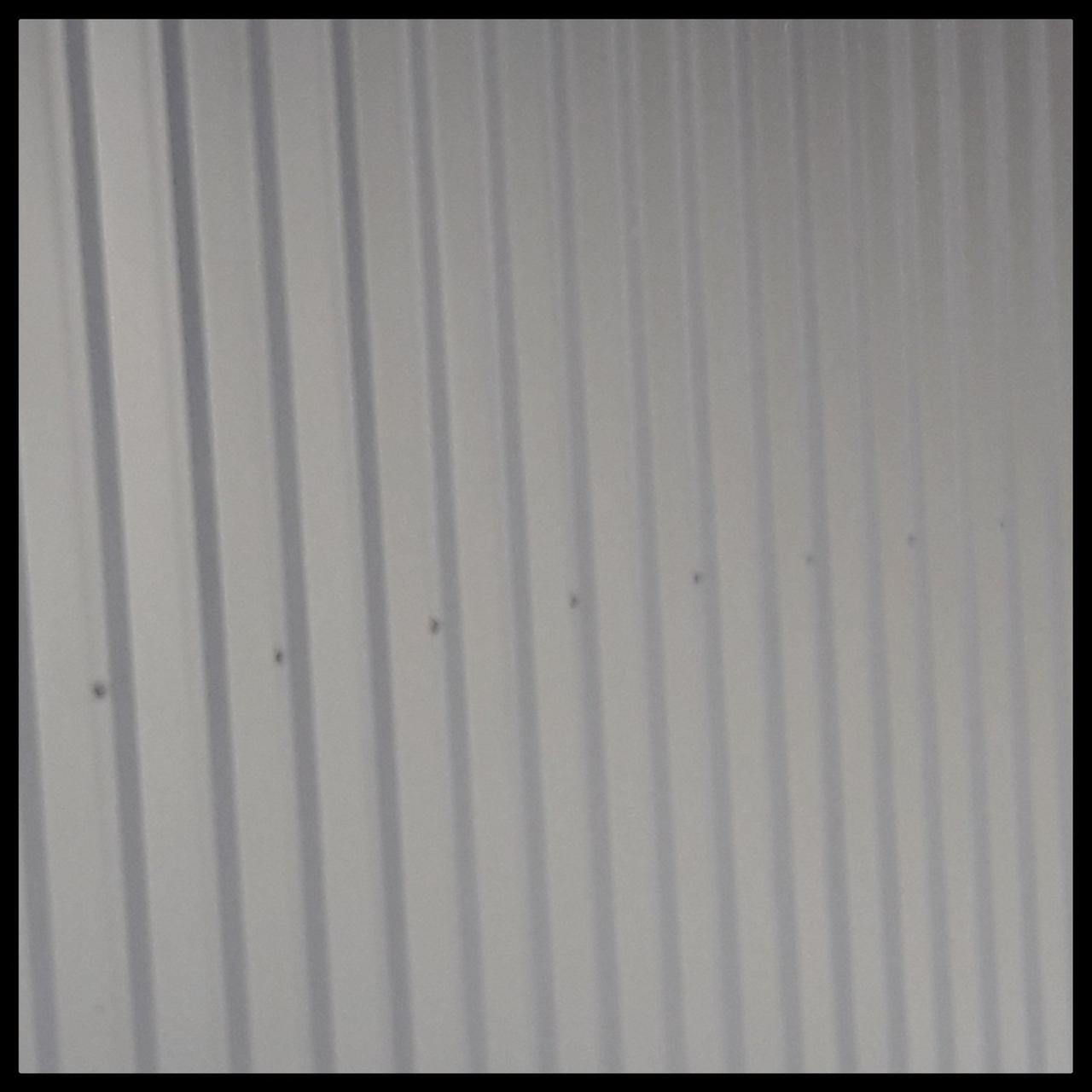 Профнастил ПК 18 0,5 «Альба Профіль» RAL 7004